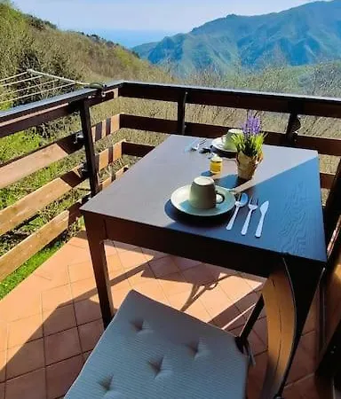 Bee Freeride Biker House
