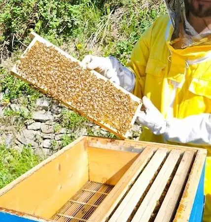 Bee Freeride Biker House