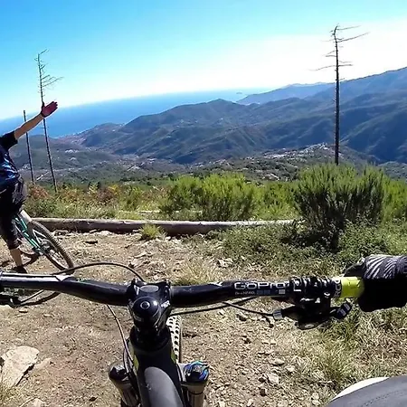 Apartment Bee Freeride Biker House