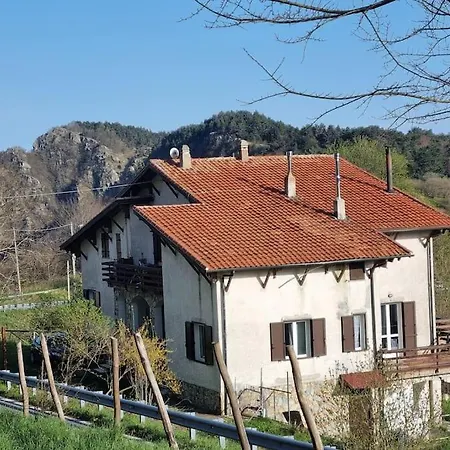 Bee Freeride Biker House Magliolo