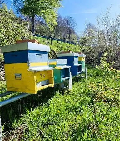 公寓 Bee Freeride Biker House Magliolo