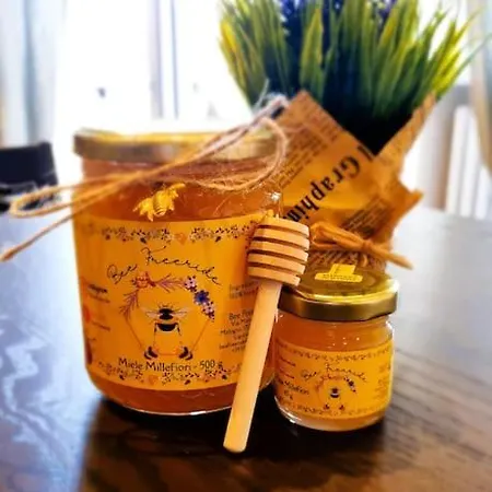 公寓 Bee Freeride Biker House Magliolo