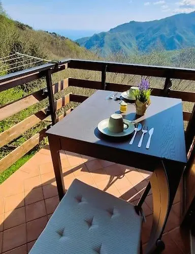 Bee Freeride Biker House