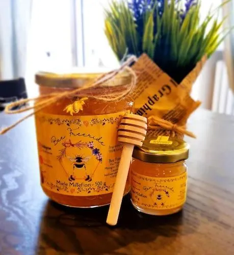 Lejlighed Bee Freeride Biker House Magliolo