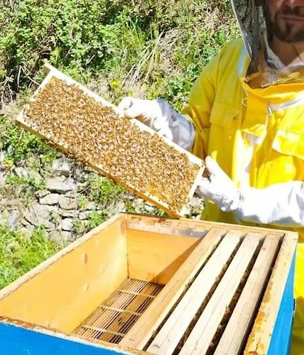 Bee Freeride Biker House